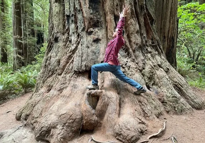 sun-salutation2-1 Bene doing sun salutation on large bottom of tree in forest